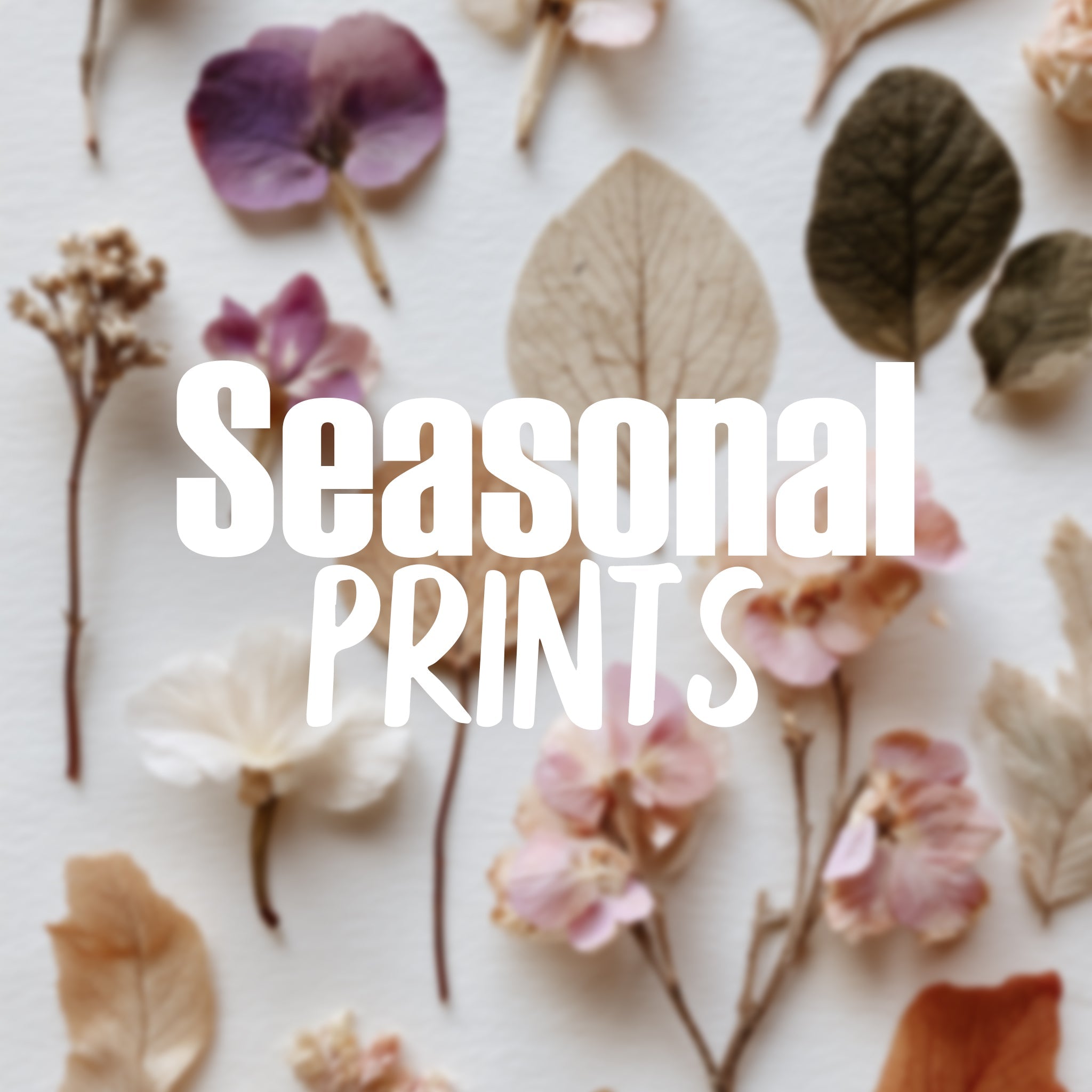Seasonal Prints