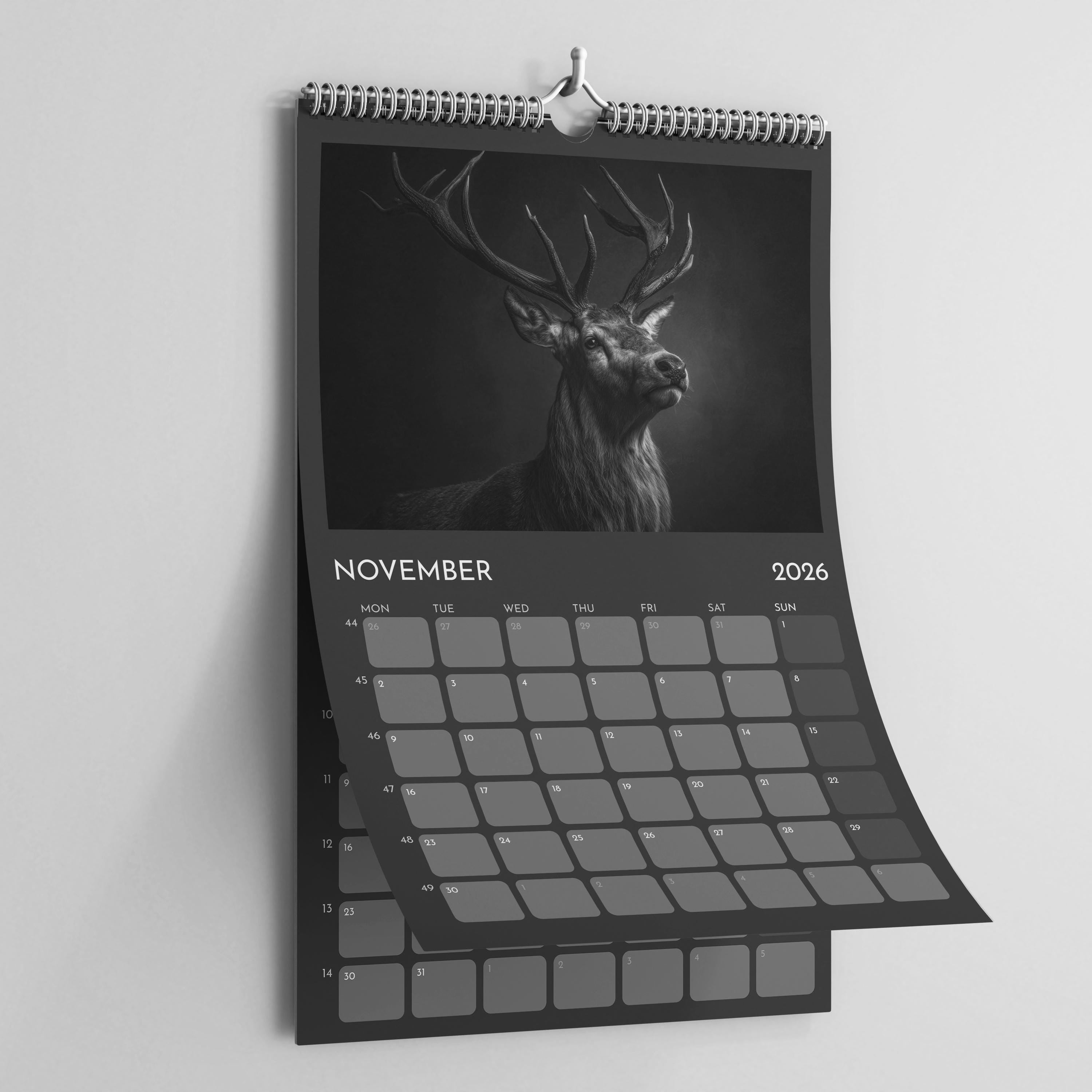 2026 Wildlife Calendar A3: Black & White Animal Photography Wall Planner