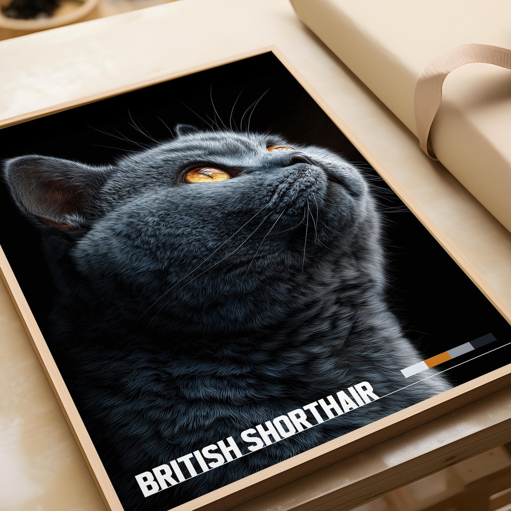 British Shorthair Cat Framed Poster: Nursery Wall Art
