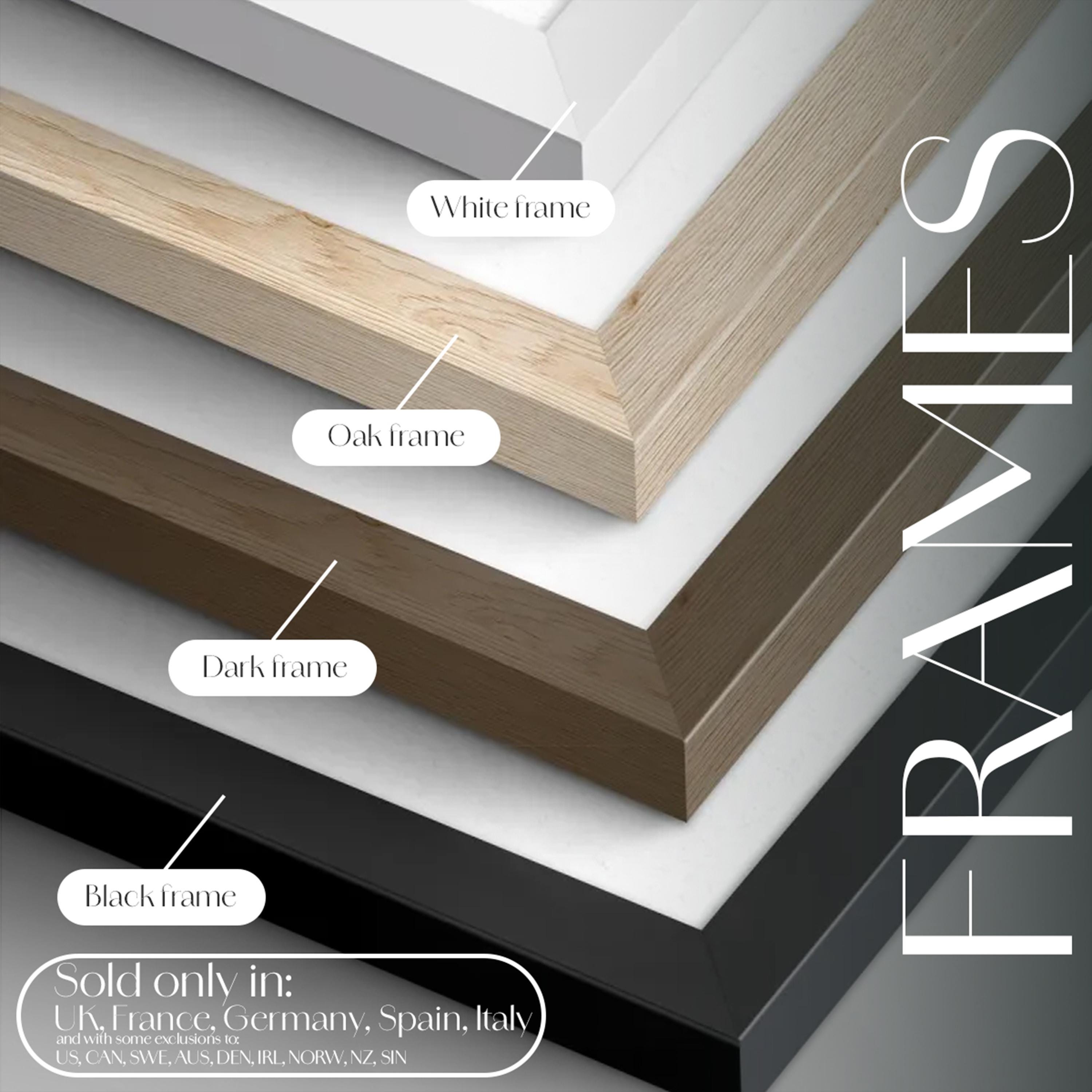 Yucatán Flamingo Art Print – Tropical Bird Illustration, Nature Decor