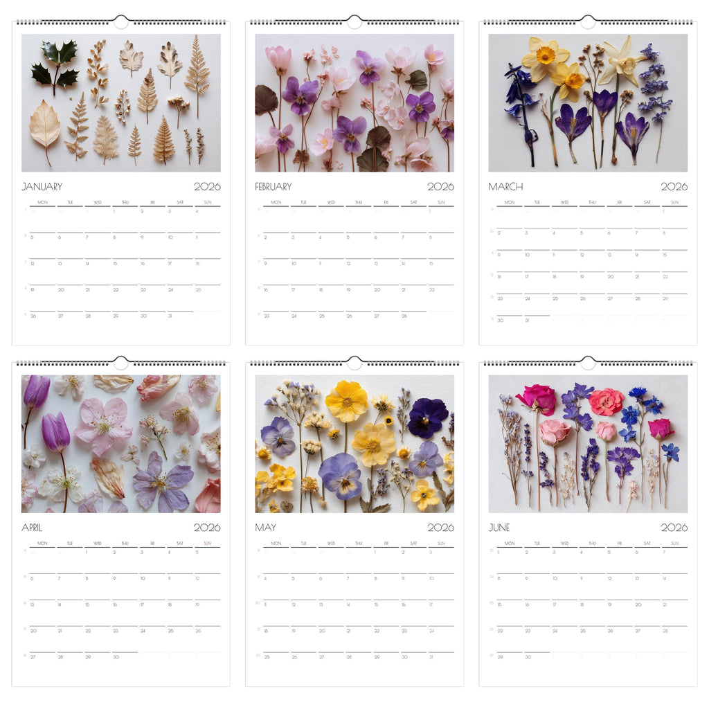 2026 Pressed Flower Wall Calendar A3: Botanical Art Print