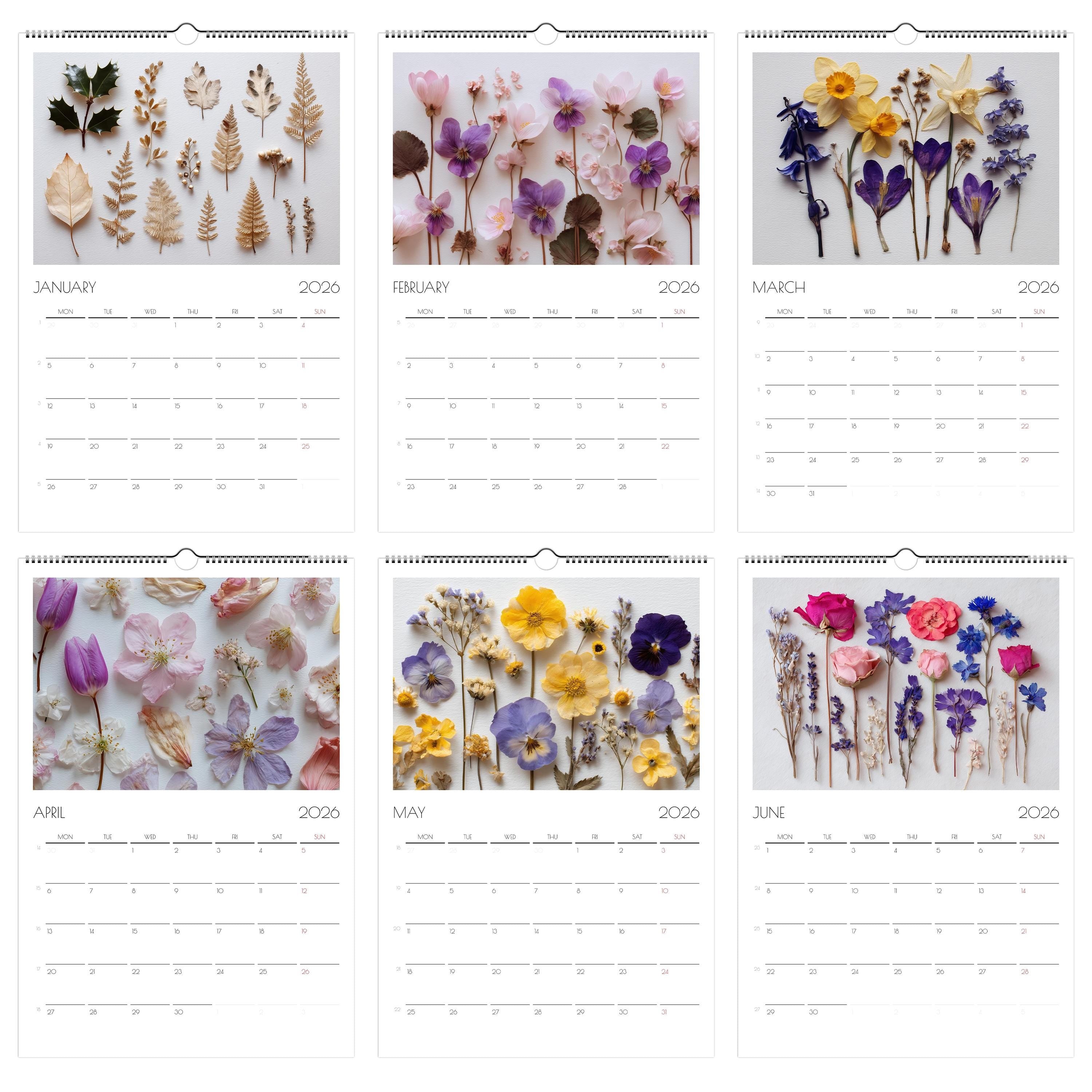 2026 Pressed Flower Wall Calendar A3: Botanical Art Print