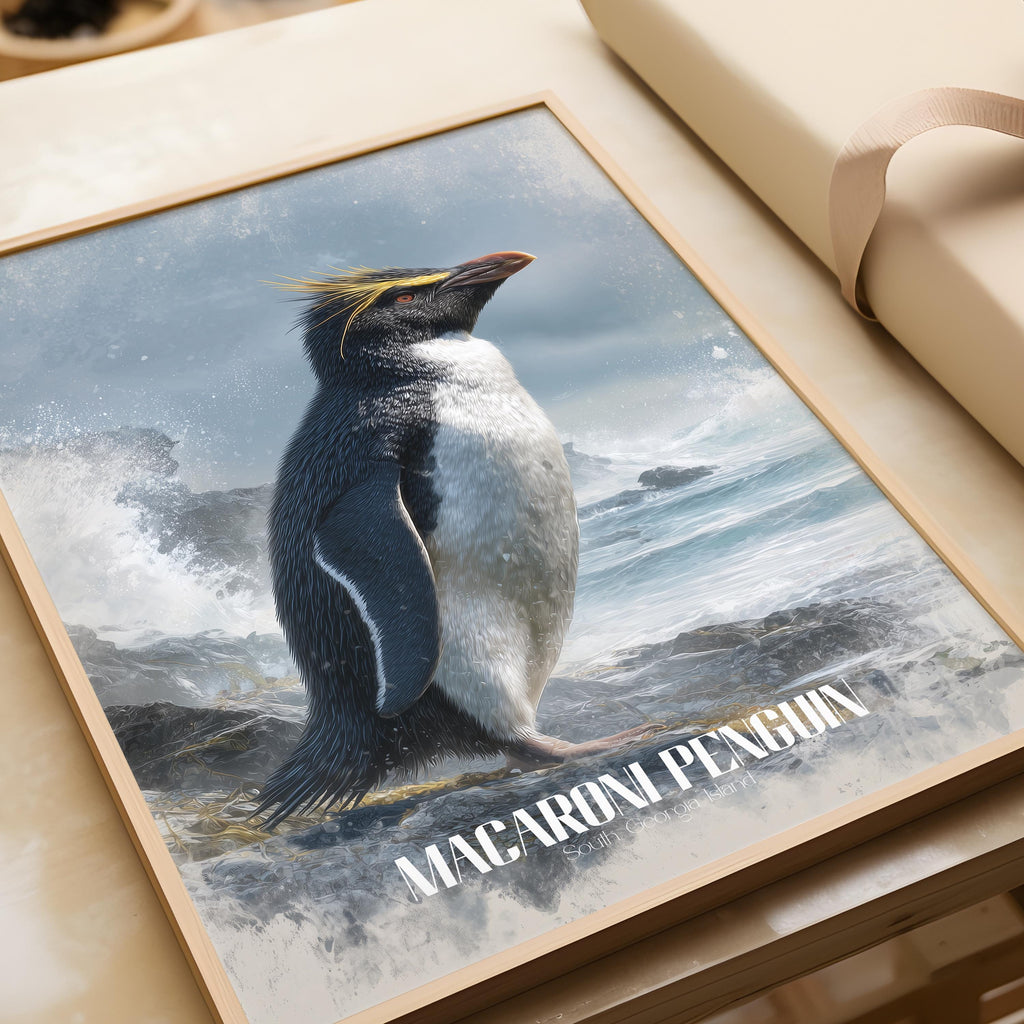 Macaroni Penguin Art Print: Colourful Antarctic Wildlife Decor