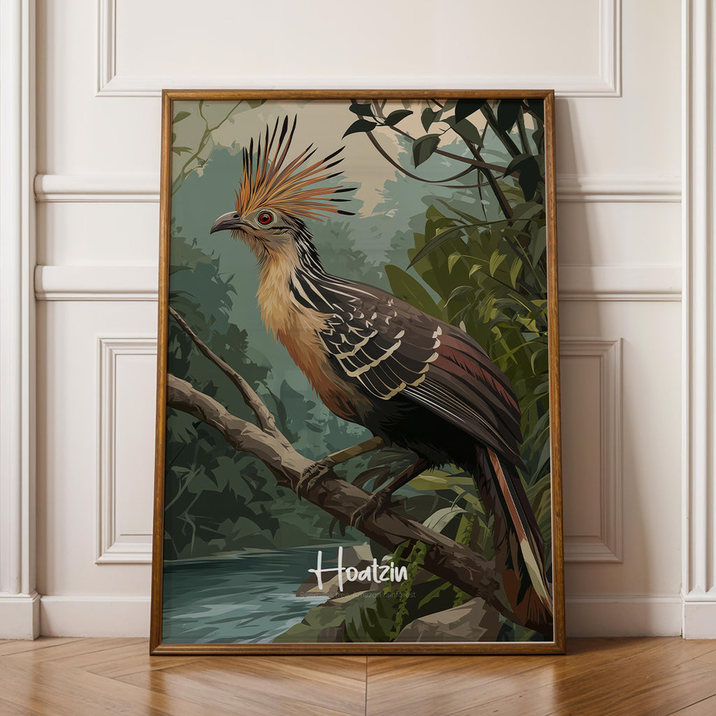 Hoatzin Framed Poster: Exotic Bird Print for Nursery or Kids Room