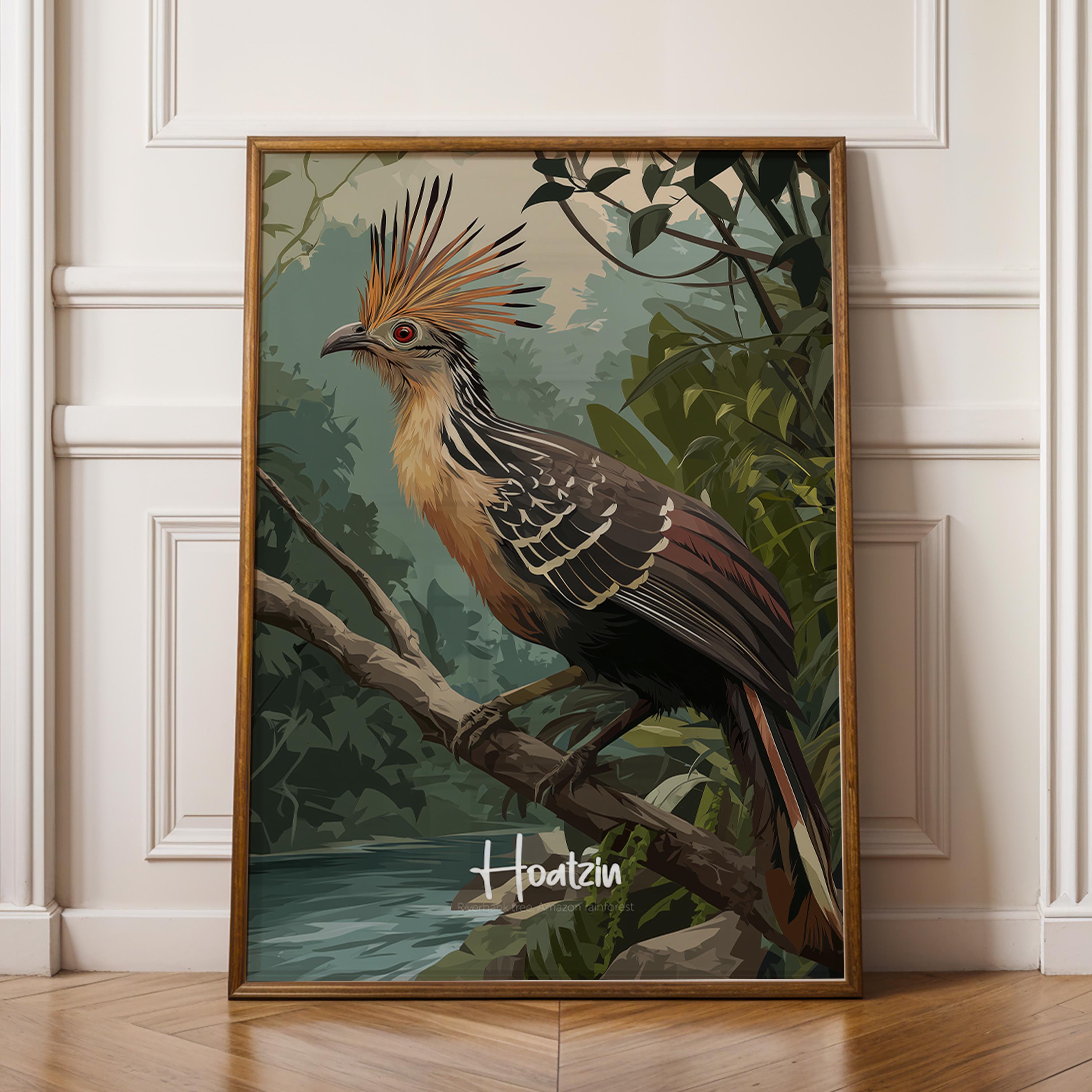 Hoatzin Framed Poster: Exotic Bird Print for Nursery or Kids Room