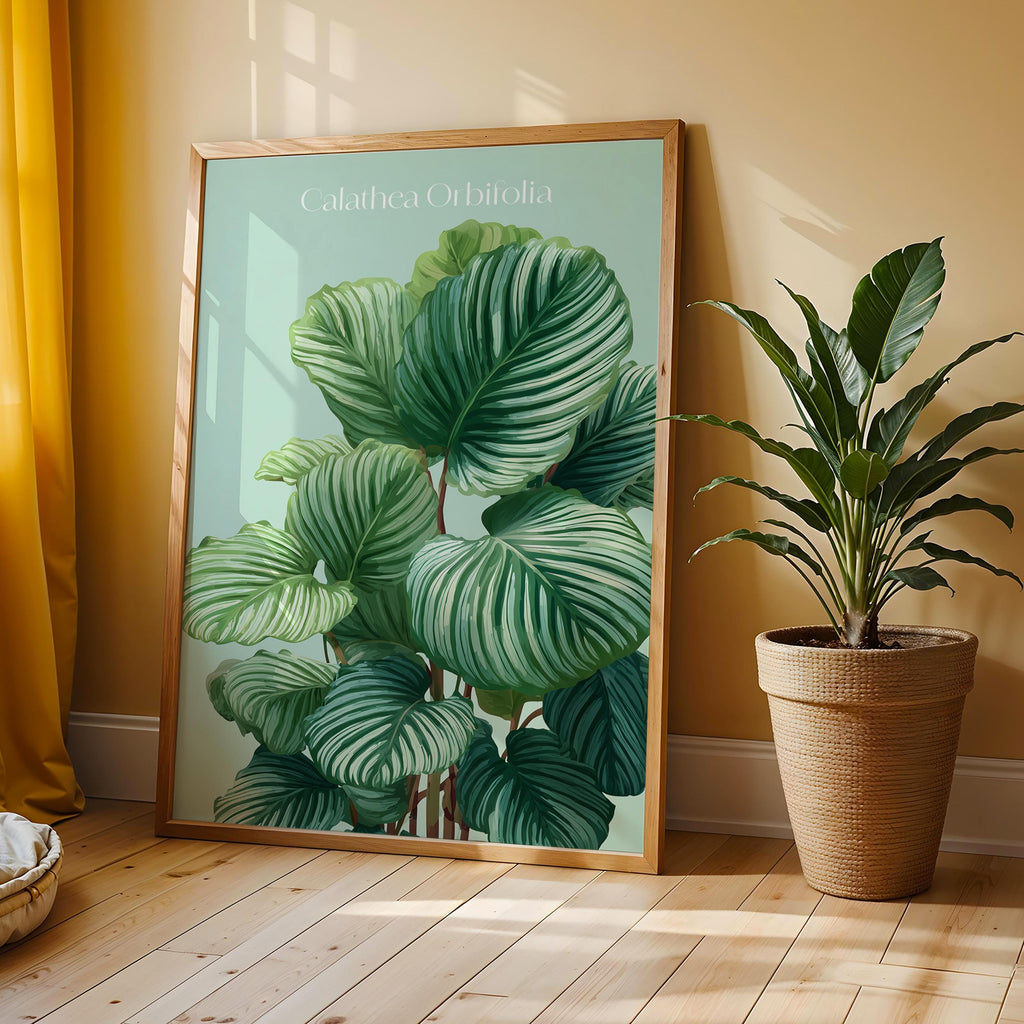 Calathea Orbifolia Print: Tropical Botanical Wall Art, Plant Lover Gift