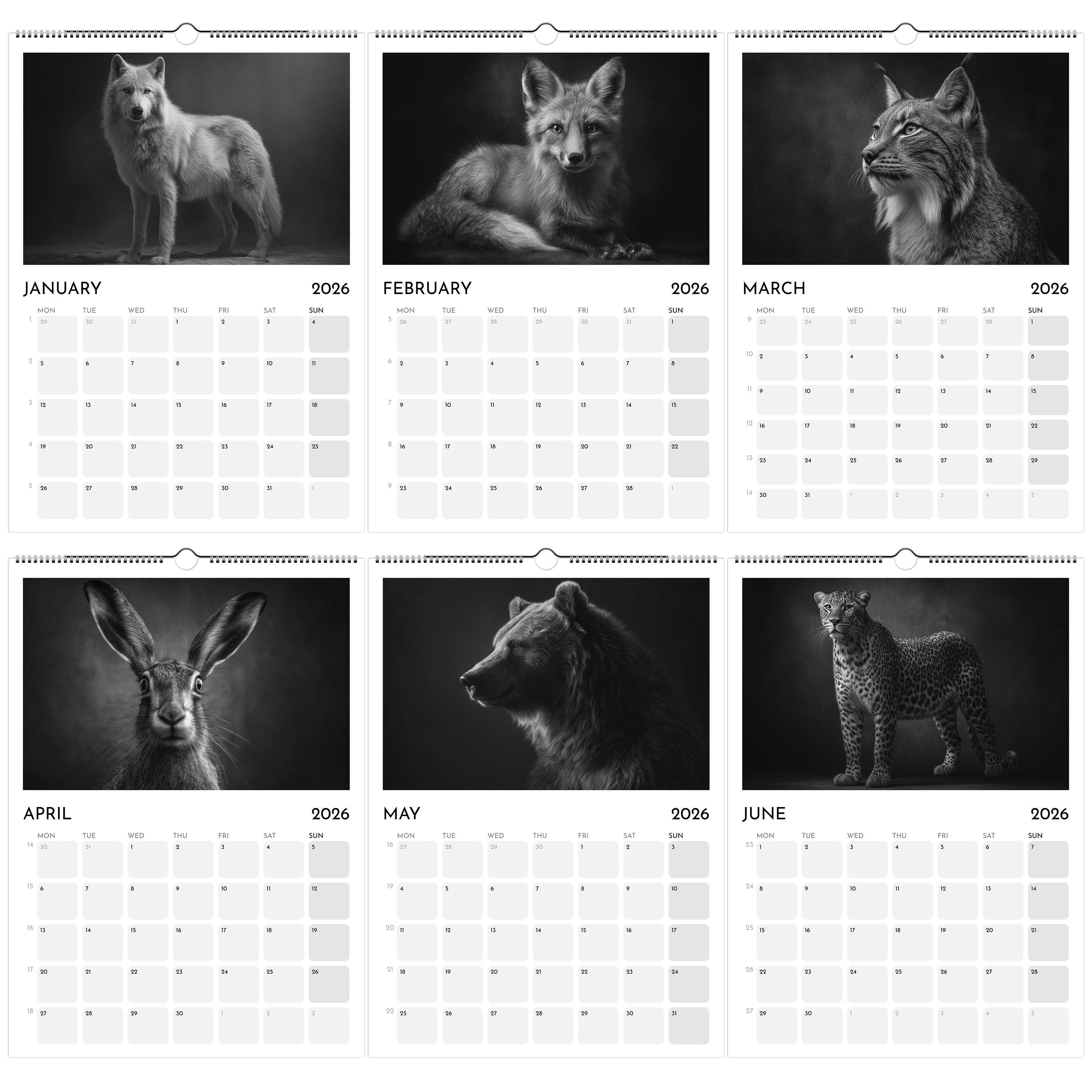 2026 Wildlife Calendar: Black & White Animal Photography, A3 Wall Planner