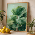Calathea Orbifolia Print: Tropical Botanical Wall Art, Plant Lover Gift