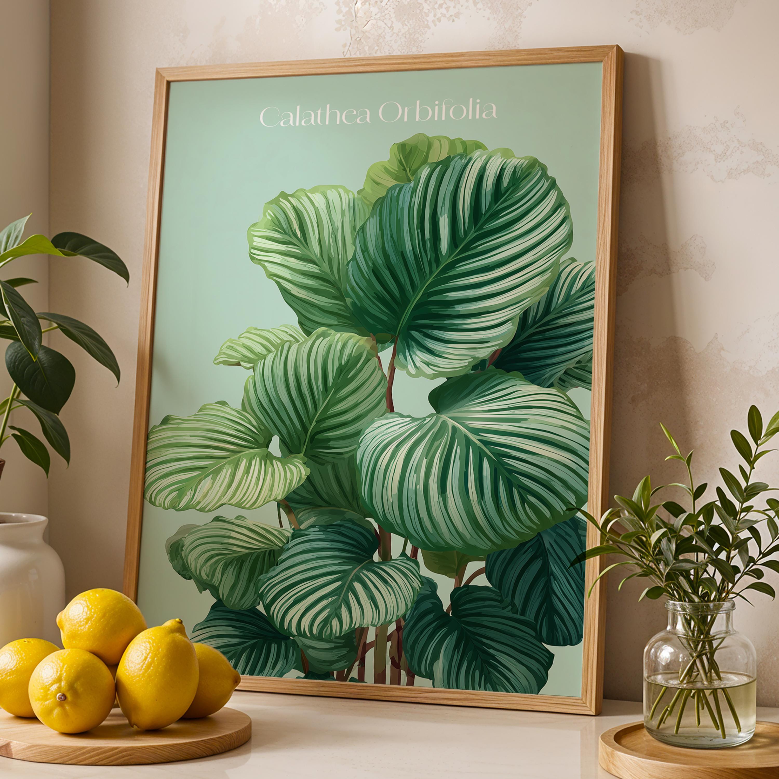 Calathea Orbifolia Print: Tropical Botanical Wall Art, Plant Lover Gift