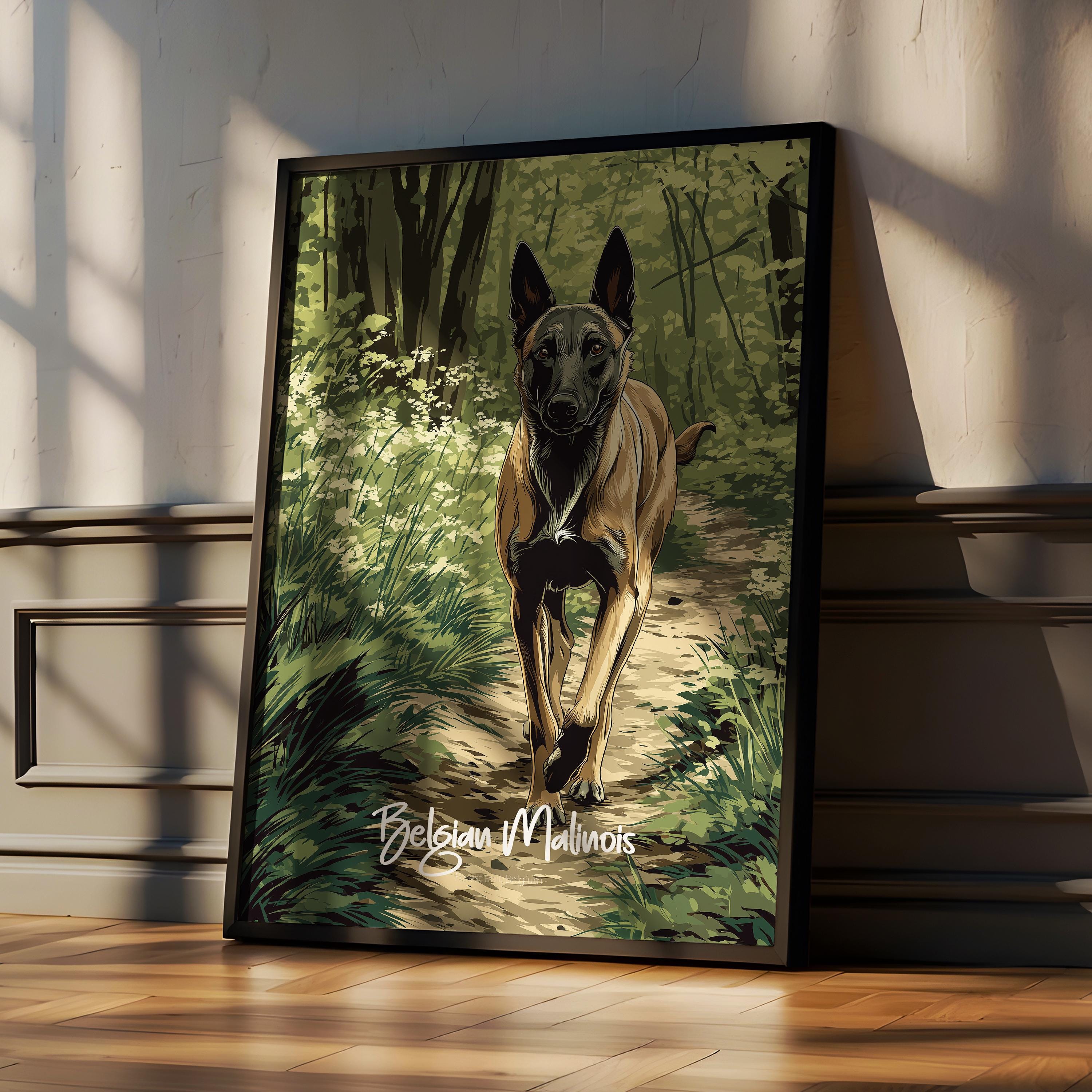 Belgian Malinois Dog Print: Modern K9 Wall Art